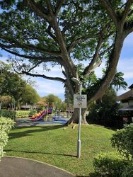 Holland Gardens (D10), Detached #470392061